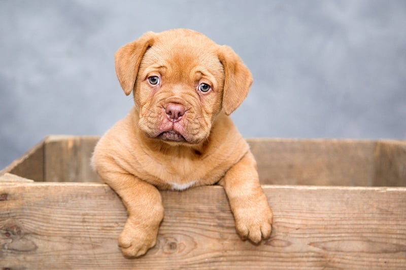 Cookie Policy Image