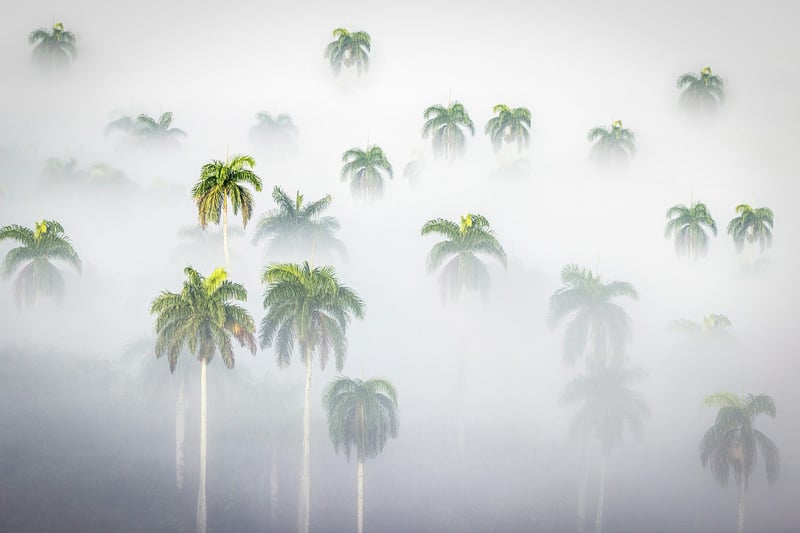 Lost City